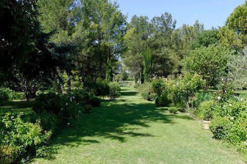 Le Domaine De Saint Veran Orgon Dış mekan fotoğraf